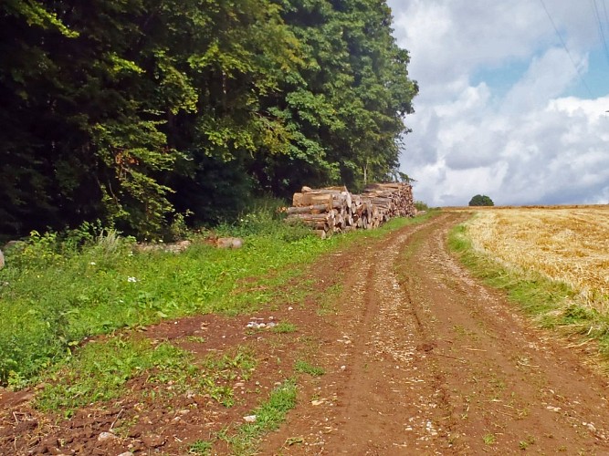 Chemin de la Carrière