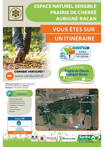 AUBIGNE-RACAN / Rando'Clim - Sentier ENS Prairie de Cherré
