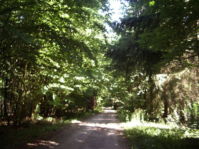 Circuit de la Rosselle