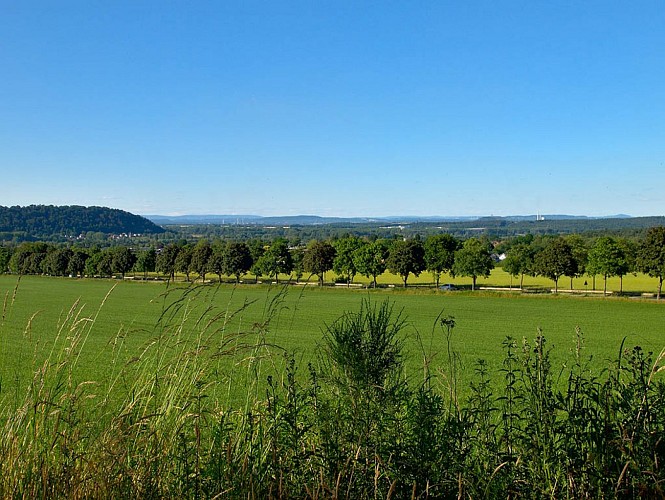 Paysage champêtre aux alentours de Überherrn