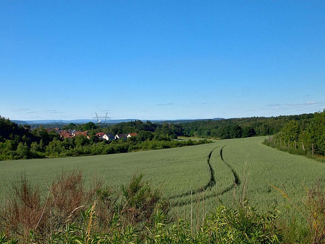 Aux alentours de Überherrn
