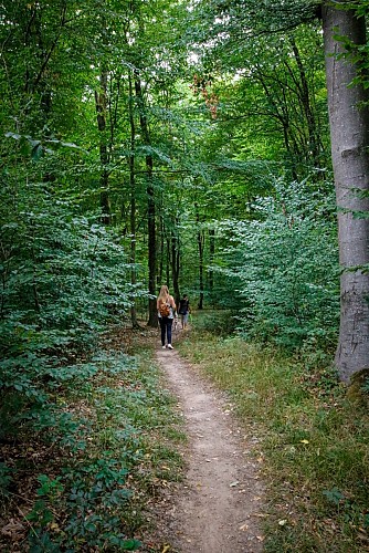 Paysages de la Blies