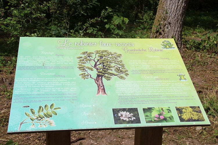 Paysages de la Blies