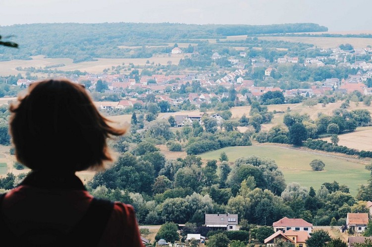 Paysages de la Blies