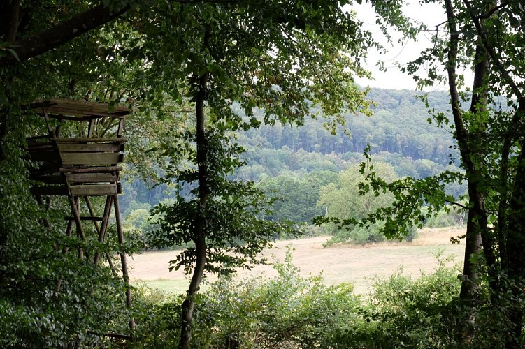 Paysages de la Blies