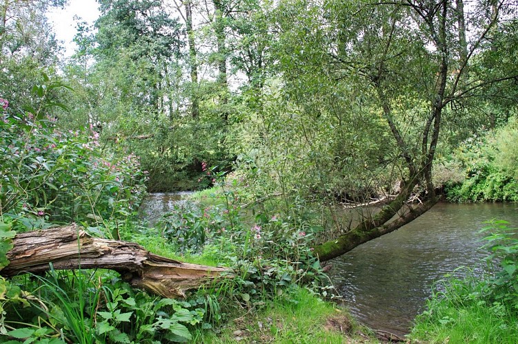 Paysages de la Blies