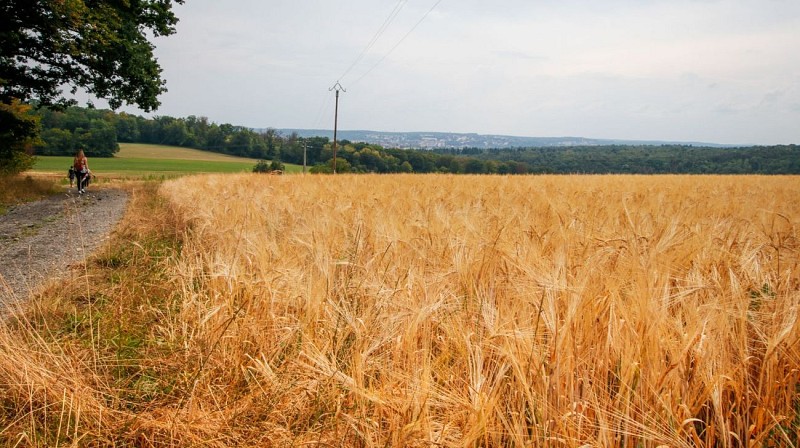 Paysages de la Blies