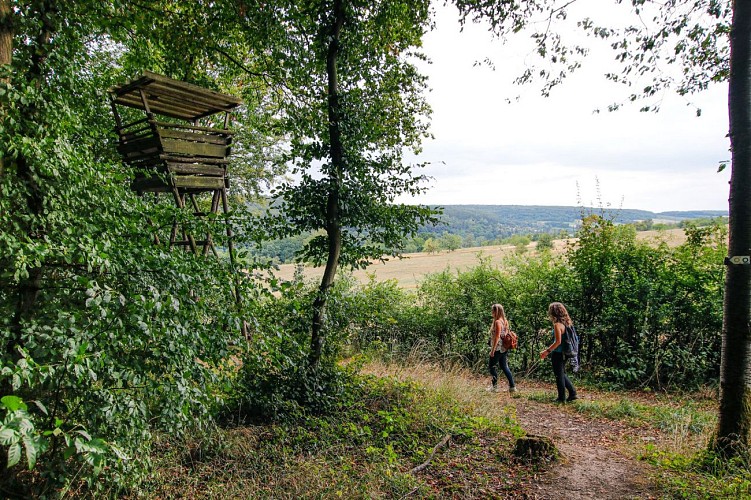 Paysages de la Blies