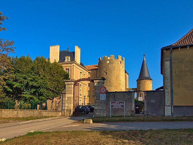 Château d'Aulnois-sur-Seille