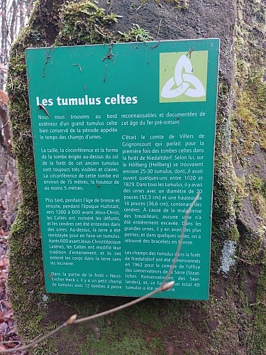 Sentier des druides à Neunkirchen-lès-Bouzonville