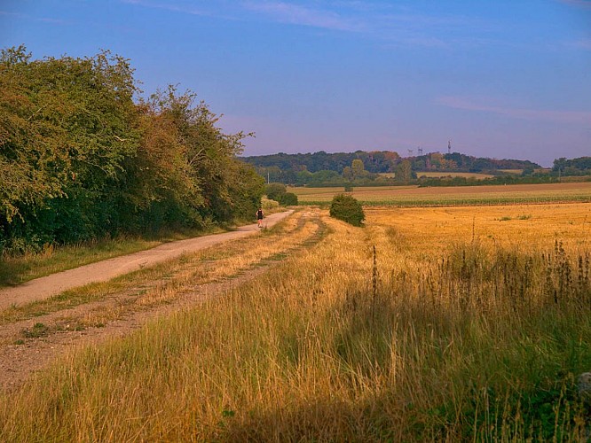 Voie verte au sud de Villers-Laquenexy