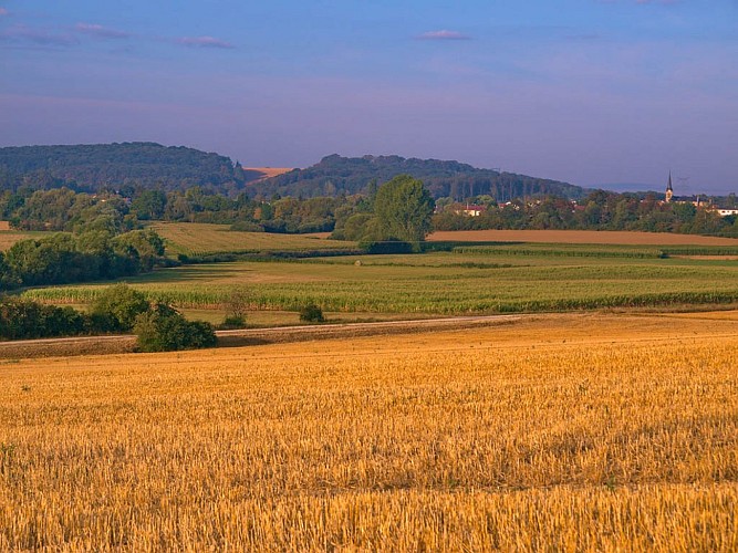 Voie verte du pays de Pange