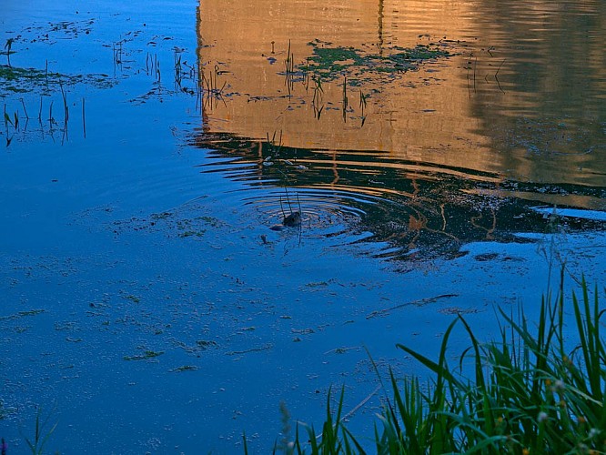 Moulin sur la Nied française