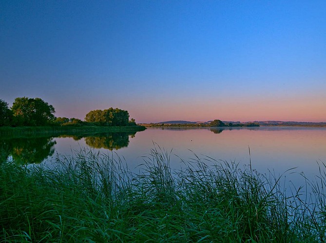 Étang de Bischwald vu depuis la D79