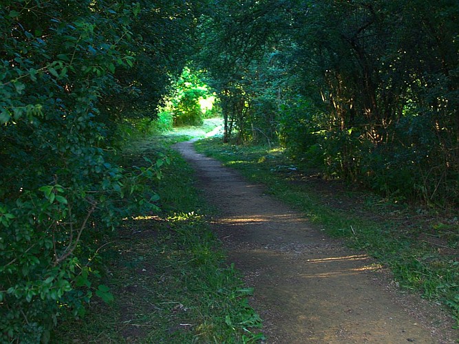 Sentier autour des étangs, Ham-sous-Varsberg