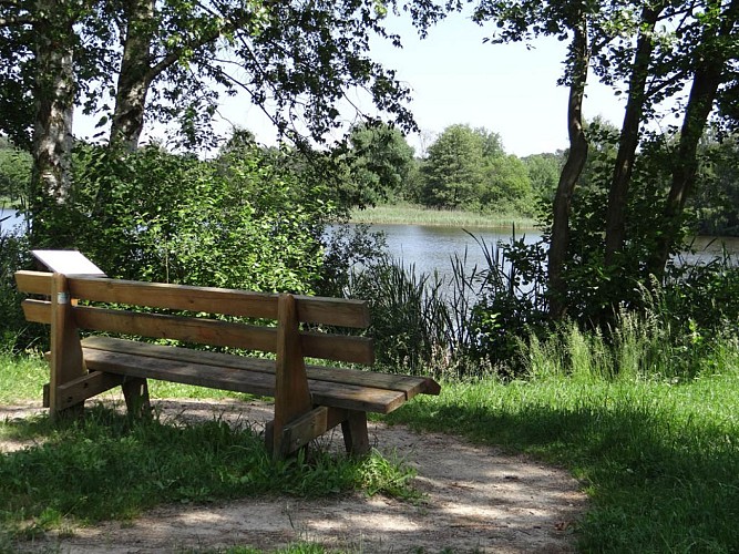 Marais de la Heide, Ham-sous-Varsberg