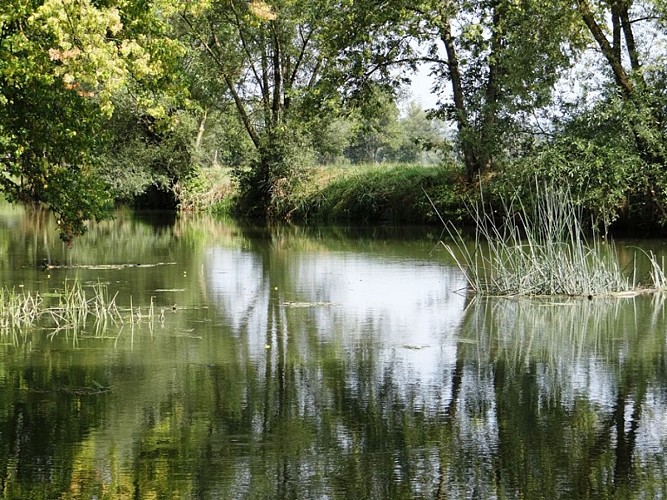 La Nied, rivière sans frontière