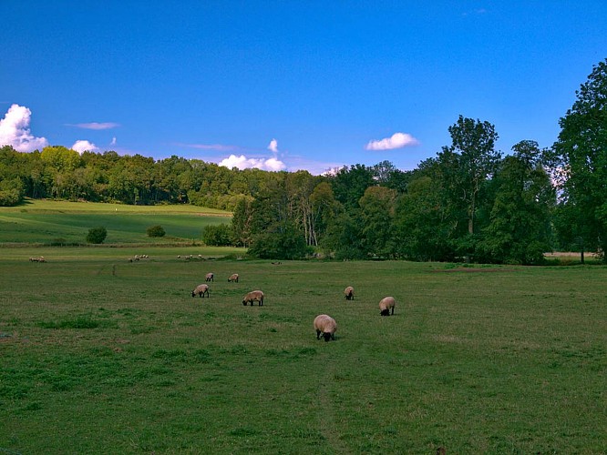 The two valleys circuit via Vasperviller