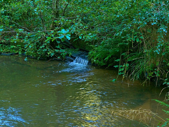 Jonction de la Sarre rouge et de la Sarre blanche