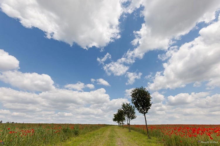 Rundgang durch die Mühlen