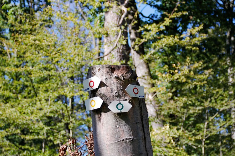 Circuit du Grosswald