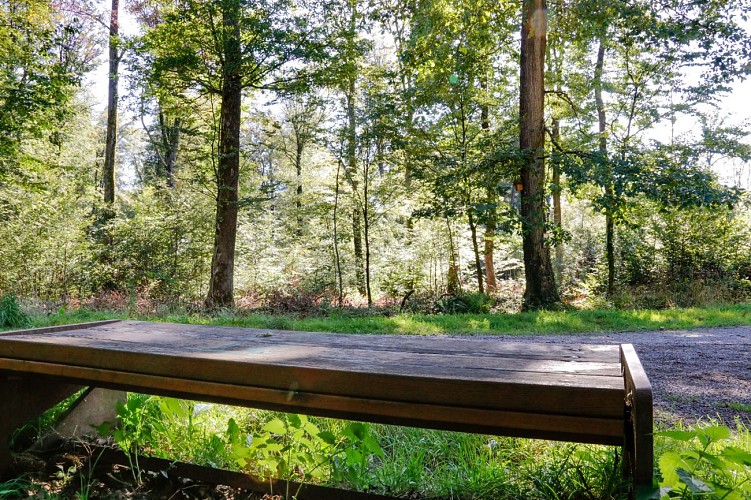 Circuit du Grosswald