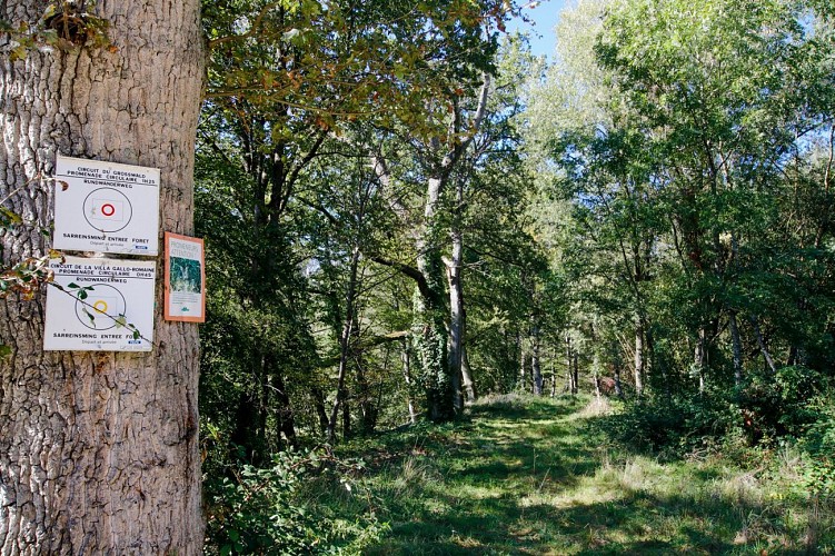 Circuit du Grosswald