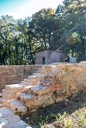 Circuit du Grosswald