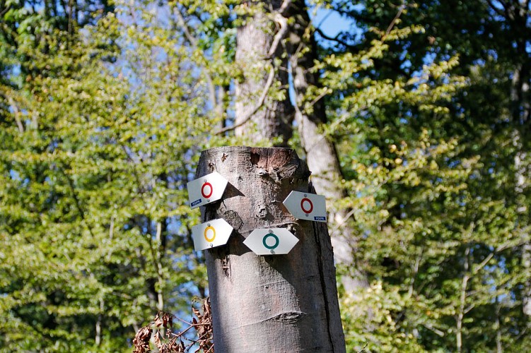 Circuit du Grosswald