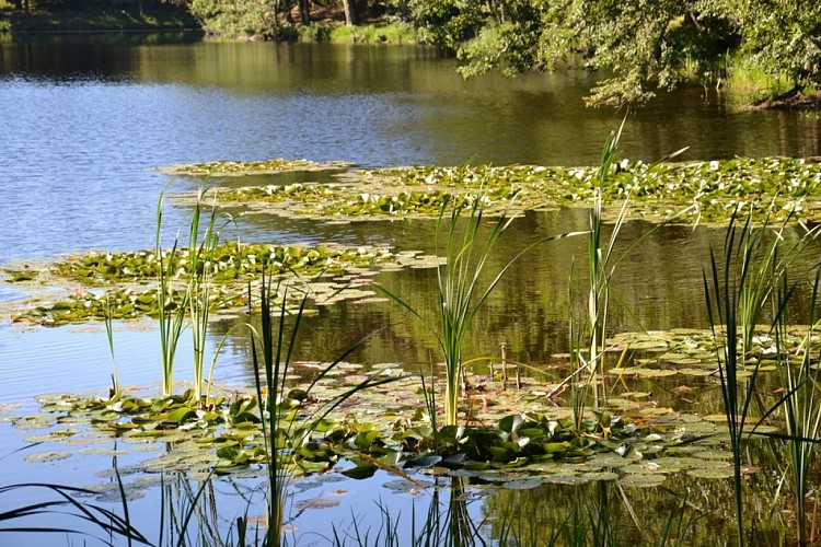 Circuit vélo loisir le château de Sédières
