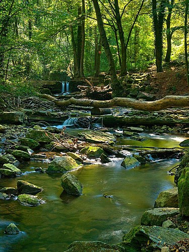 Ruisseau de Montenach