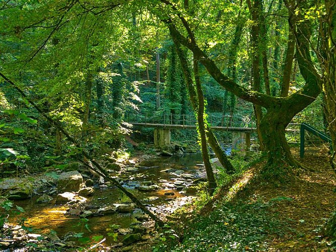 Ruisseau de Montenach