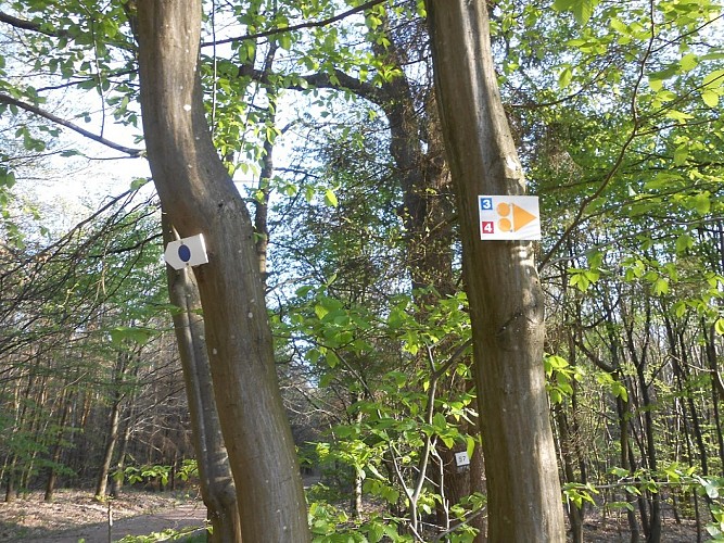 Oderfang - Longeville