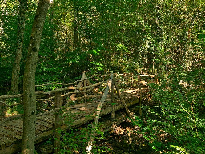 Sentier de la Réserve Naturelle de Montenach