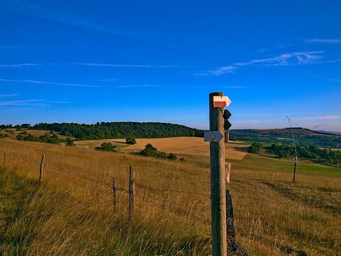 Balisage pédestre sur les côtes de Moselle