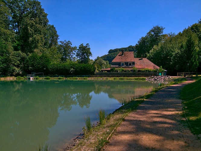 Etang de la Papiermuehle