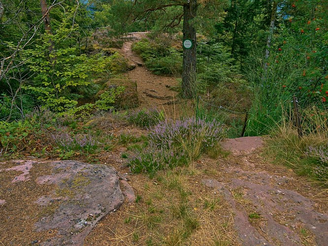 Rocher du Heckfels