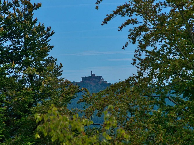 Vue sur Dabo depuis le rocher du Heckfels