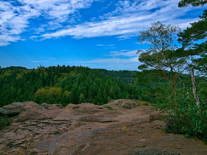 Plateforme du Hohwalsch