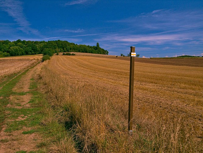 Le chemin au nord-ouest de Burtoncourt