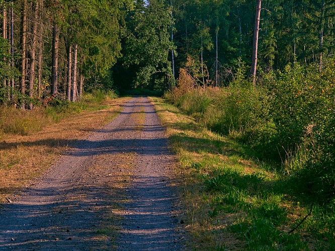 Oderfang - Porcelette - Creutzwald