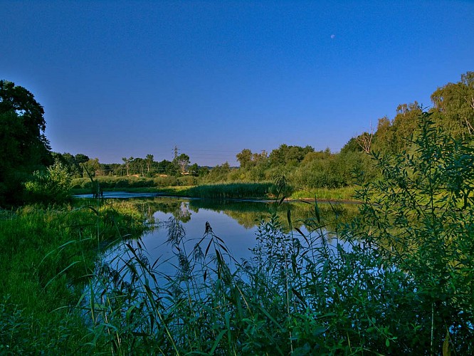 Étang du Moulin