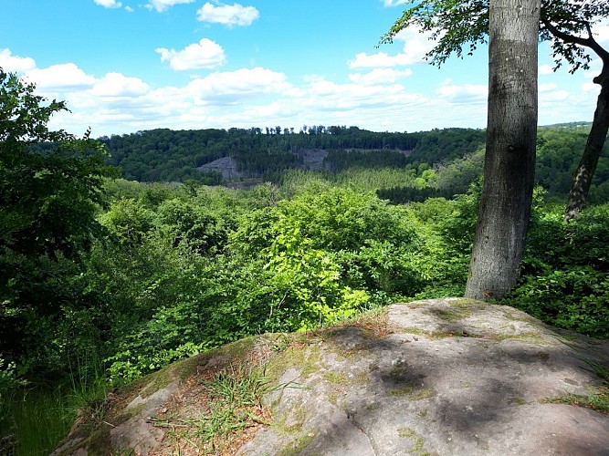 Point de vue Steinberg