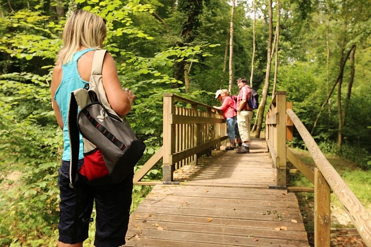 Aménagement en forêt