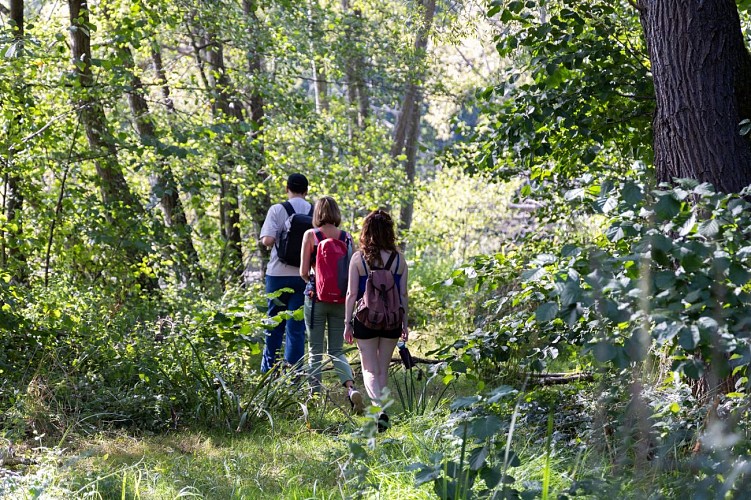 Sur les Rives de l'Histoire