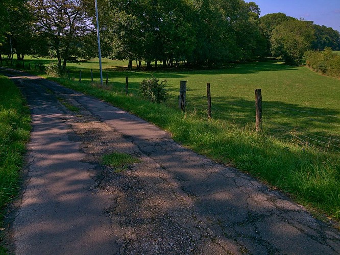 Wanderweg Réding - Sarrebourg