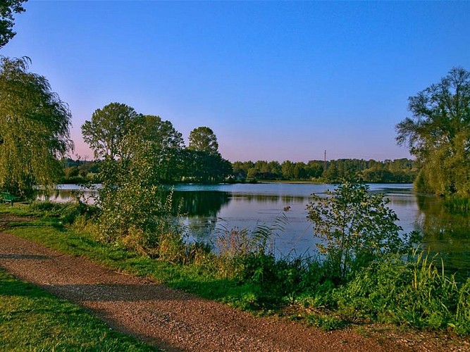 Étang Lévêque, Sarrebourg