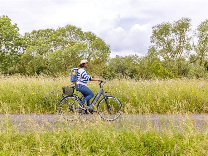 A vélo sur le Fil Bleu