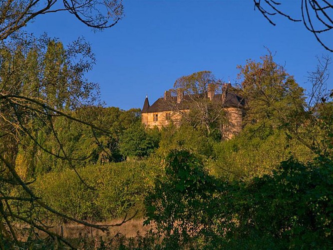 Vue sur le château d'Hombourg-Budange