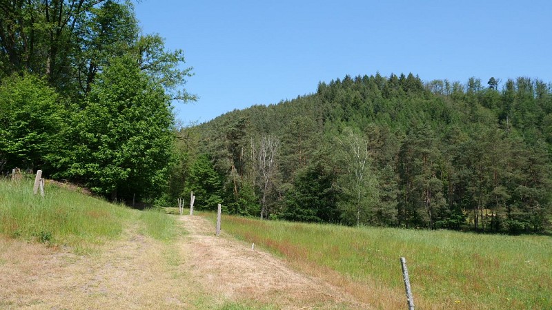 Sentier d'excellence 1 - autour du château de Ramstein